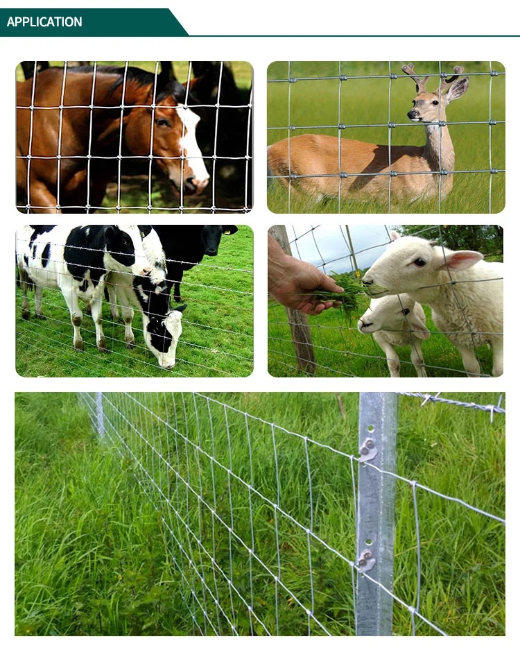 Farm Fence,Deer Fence, cattle fence,Field Fence Livestock Fencing for