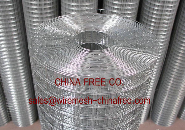 Hot Dip Galvanized Welded Wire Mesh