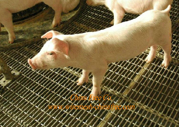 pig bed mesh