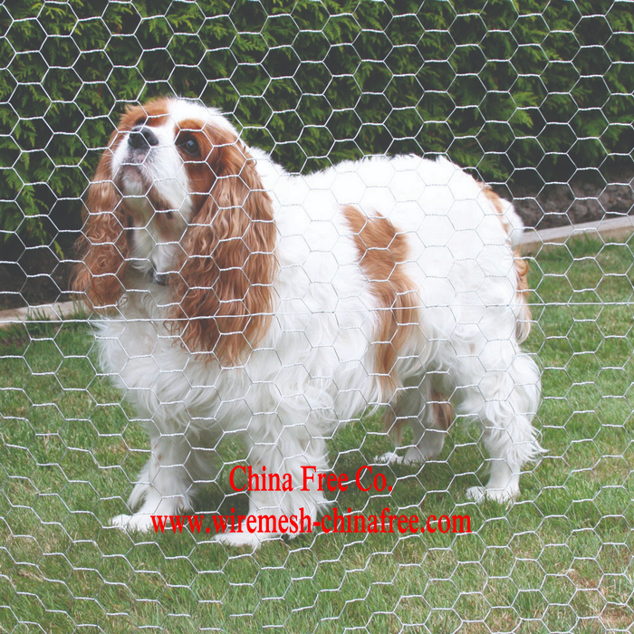 Buy Wholesale China Cheap Farm Chicken Net Fence Chicken Hexagonal