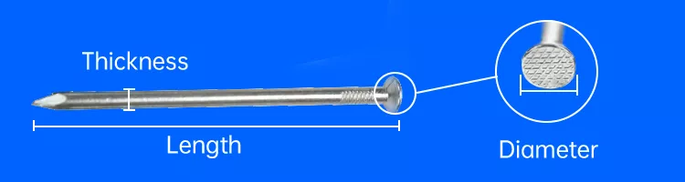 common nail