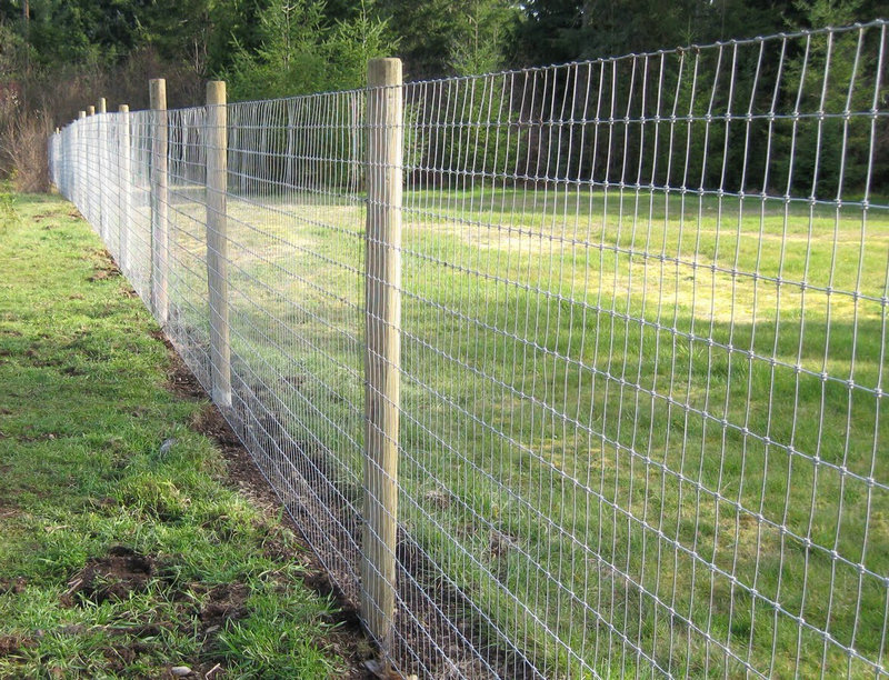 Farm fence