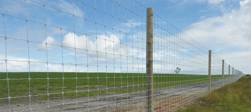 Farm fence