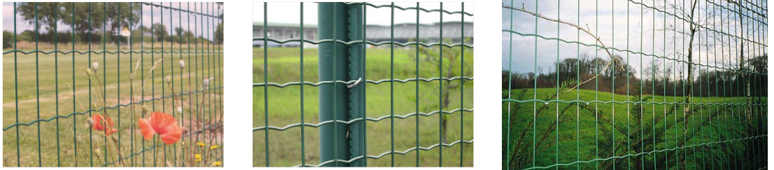 Holland wire mesh