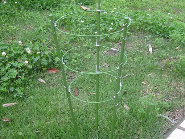 Tomato cage