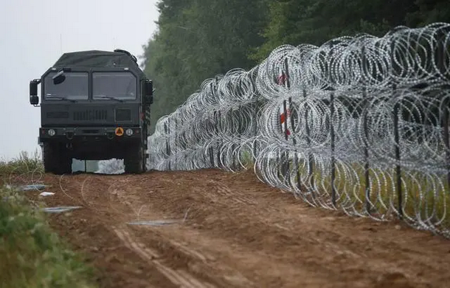 wire mesh fence