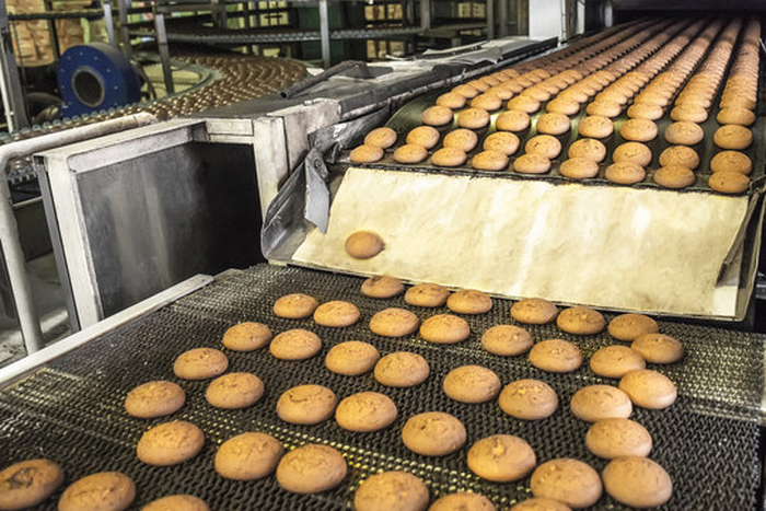 Conveyor Belt for Peach Crisp