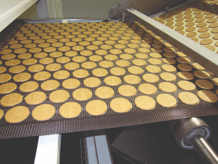 Conveyor Belt for Peach Crisp