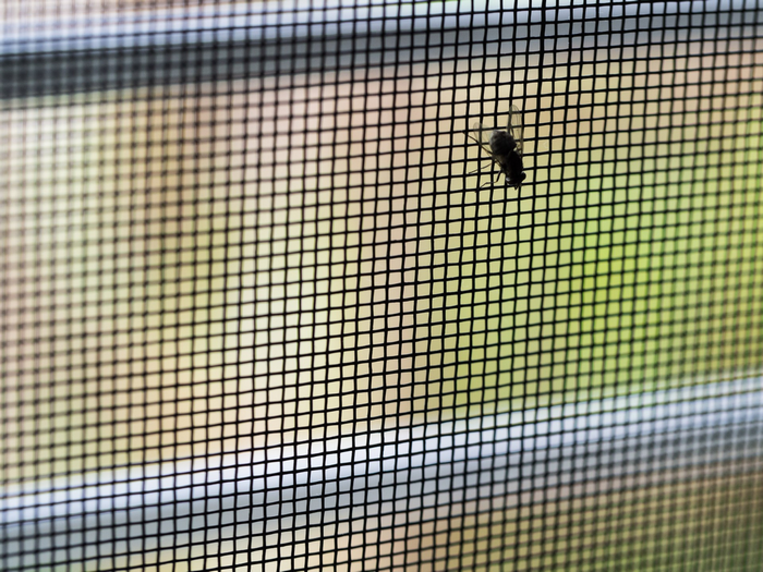 Fly Screen Mesh