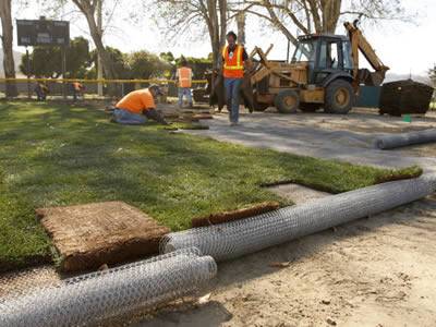 gopher wire mesh